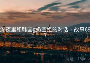 深夜里和韩国g奶空姐的对话 · 故事697