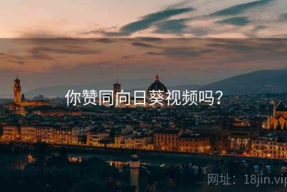 你赞同向日葵视频吗？