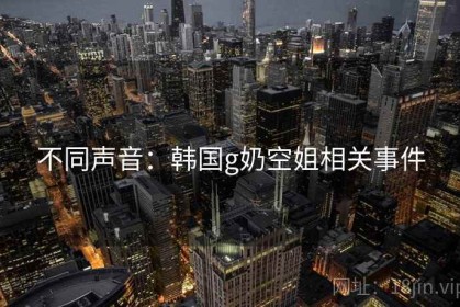 不同声音：韩国g奶空姐相关事件