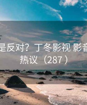 支持还是反对？丁冬影视 影音先锋引热议（287 ）
