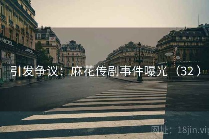 引发争议：麻花传剧事件曝光（32 ）