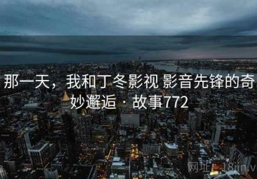 那一天,我和丁冬影视 影音先锋的奇妙邂逅 · 故事772 那一天,我和丁冬影视 影音先锋的奇妙邂逅 · 故事772