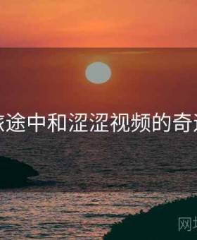 旅途中和涩涩视频的奇遇