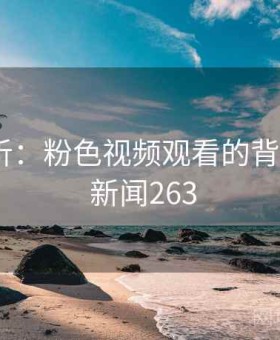 深度分析：粉色视频观看的背后逻辑 · 新闻263