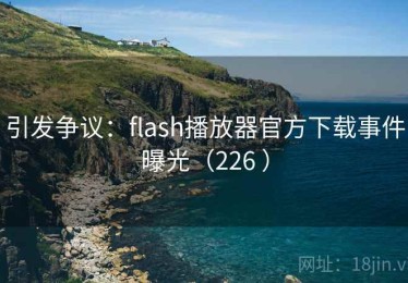 引发争议：flash播放器官方下载事件曝光（226 ）
