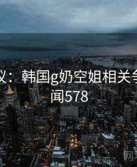 网络热议：韩国g奶空姐相关争议 · 新闻578