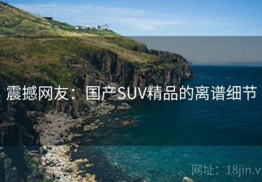 震撼网友:国产SUV精品的离谱细节 震撼网友:国产SUV精品的离谱细节