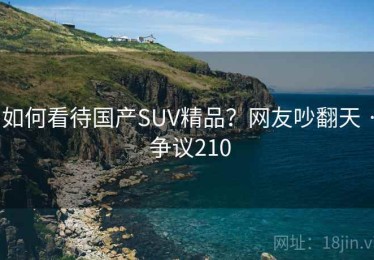 如何看待国产SUV精品?网友吵翻天 · 争议210 如何看待国产SUV精品?网友吵翻天 · 争议210