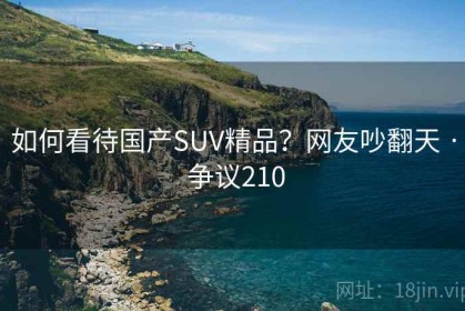 如何看待国产SUV精品？网友吵翻天 · 争议210