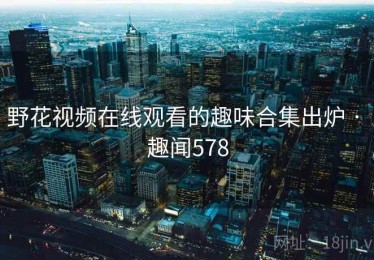 野花视频在线观看的趣味合集出炉 · 趣闻578