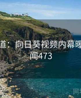 独家报道：向日葵视频内幕曝光 · 新闻473