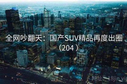 全网吵翻天：国产SUV精品再度出圈（204 ）