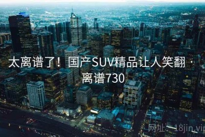 太离谱了！国产SUV精品让人笑翻 · 离谱730