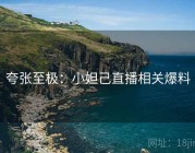 夸张至极：小妲己直播相关爆料