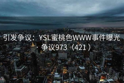 引发争议：YSL蜜桃色WWW事件曝光 · 争议973（421 ）