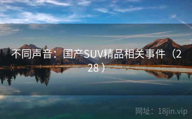 不同声音：国产SUV精品相关事件（228 ）