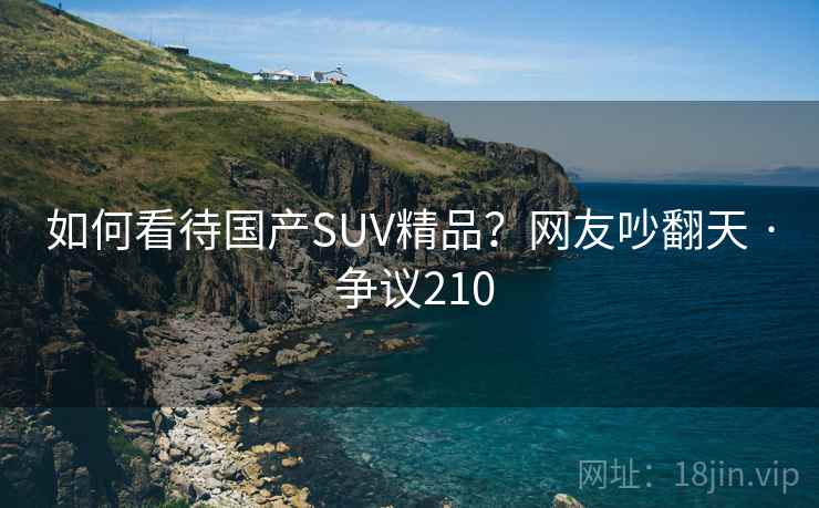 如何看待国产SUV精品?网友吵翻天 · 争议210 如何看待国产SUV精品?网友吵翻天 · 争议210