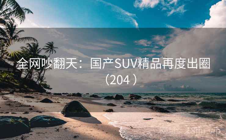 全网吵翻天:国产SUV精品再度出圈(204 ) 全网吵翻天:国产SUV精品再度出圈(204 )